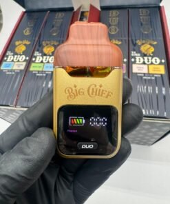 big chief 2g disposable