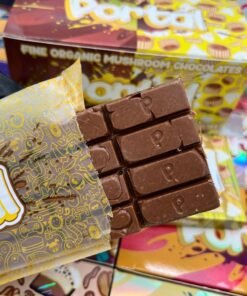 PORTAL 6G MUSHROOM CHOCOLATE BARS