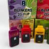 blinkers flip 2g