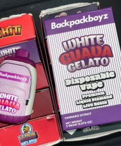 backpackboyz 2g disposable