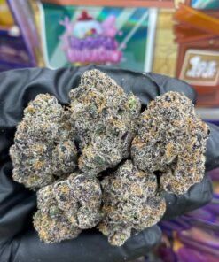sweetz exotics trapehouse edition, sweetz exotics, sweetz pre rolls, sweetz pre rolls, sweet exotics, exotic sweetz