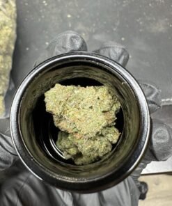 zafari hunt 3.5 8th, zafari hunt 8th, zafari hunt 8th weed, zafari hunt 8th cannabis, 8th weed