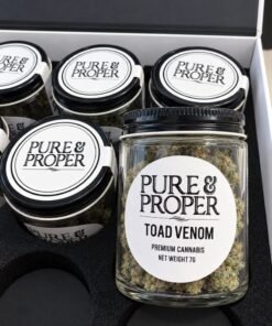 PURE AND PROPER TOAD VENOM